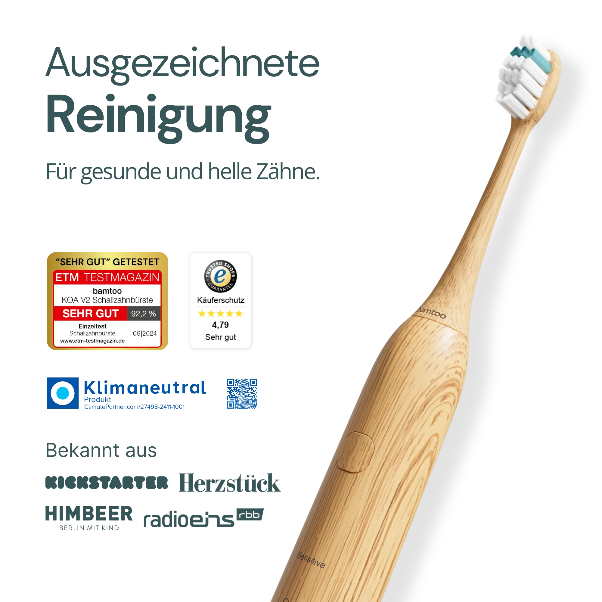 Schallzahnbürste