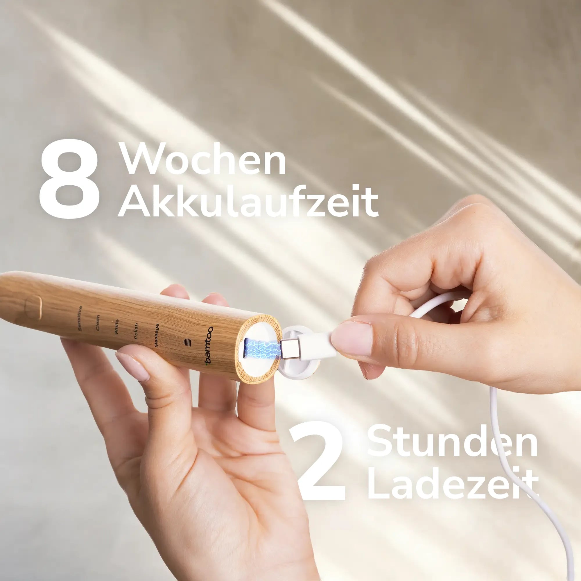 Elektrische Schallzahnbürste