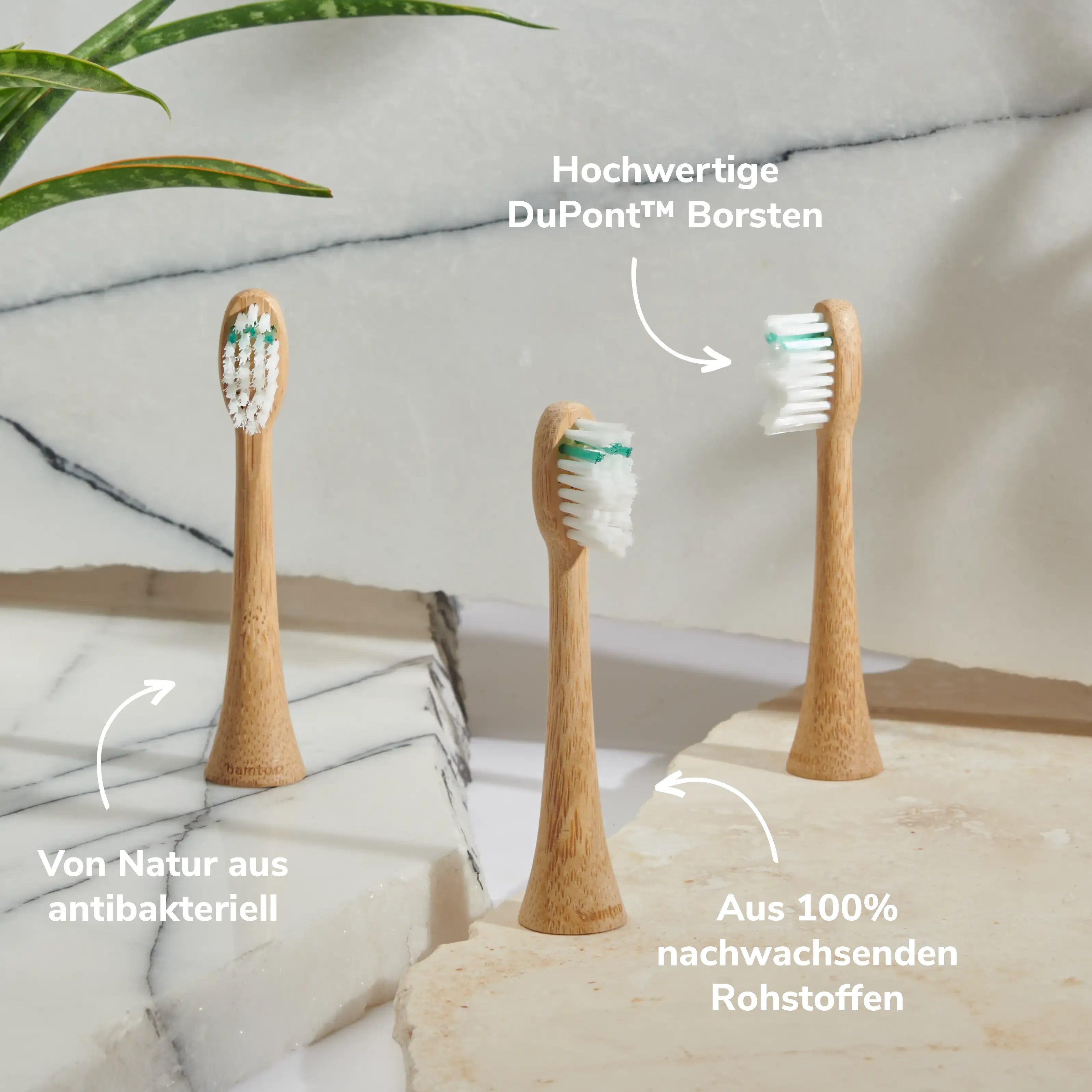Bambus Aufsätze für Schallzahnbürsten vor Steinen