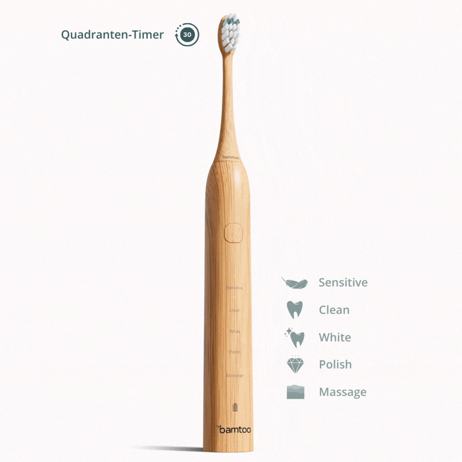 Schallzahnbürste Putzprogramme Animation