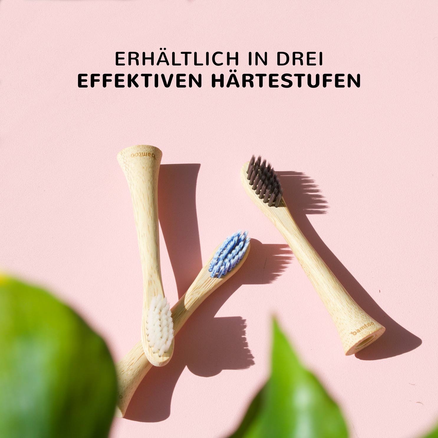 Bambus aufsätze für Schallzahnbürste KOA gibt es in weich hart und mittelhart