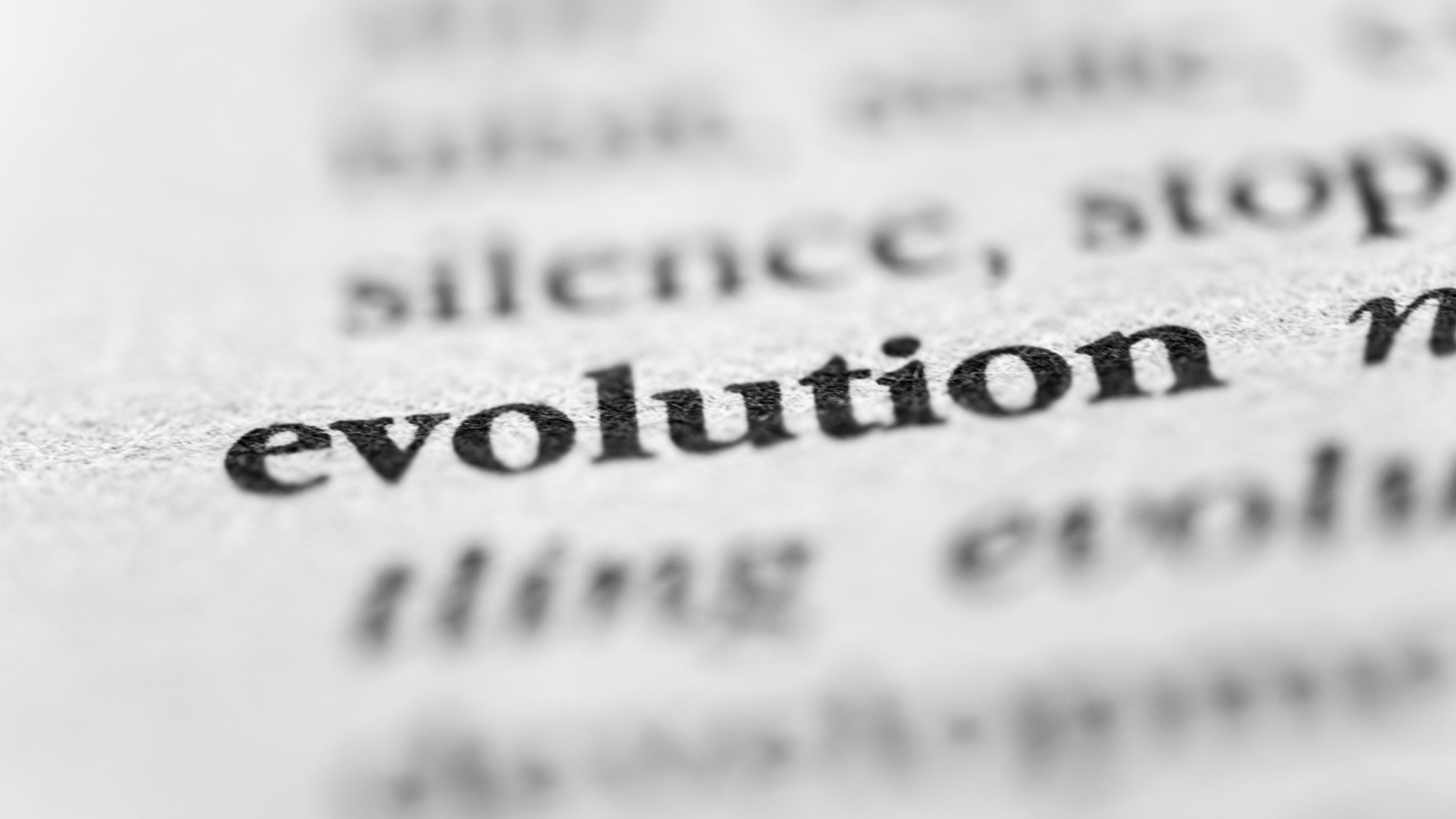 Evolution der Zahnbürste: Von Naturbürsten zu elektrischen Zahnbürsten