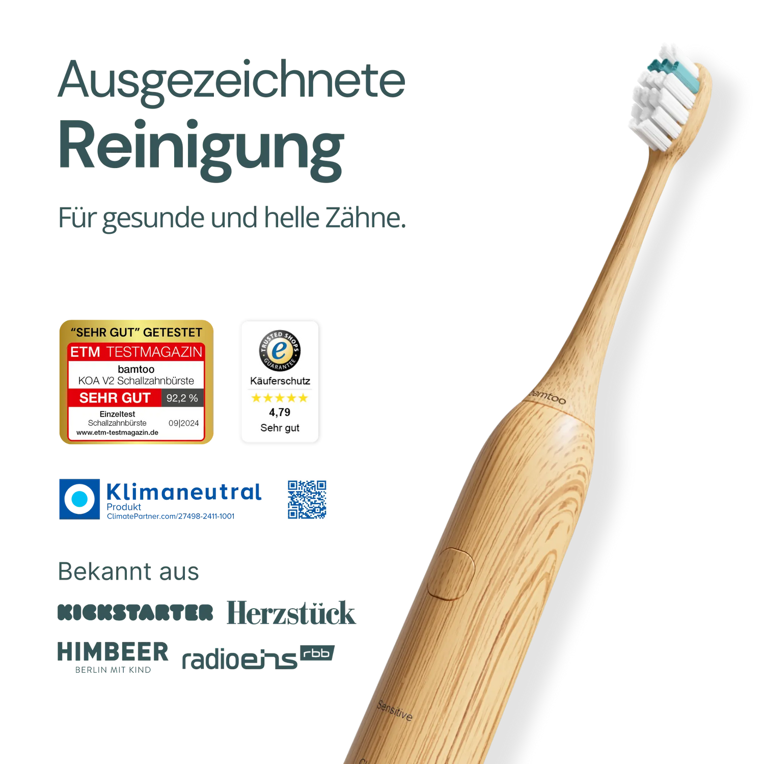 Schallzahnbürste
