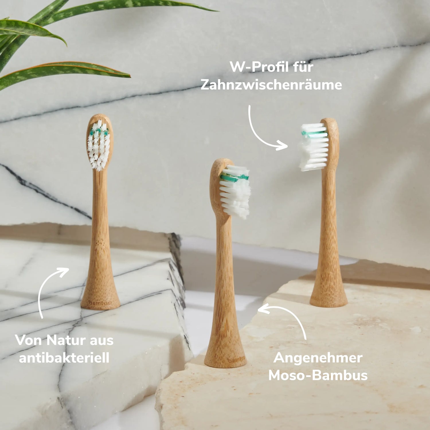Schallzahnbürste nachhaltige Bürstenköpfe
