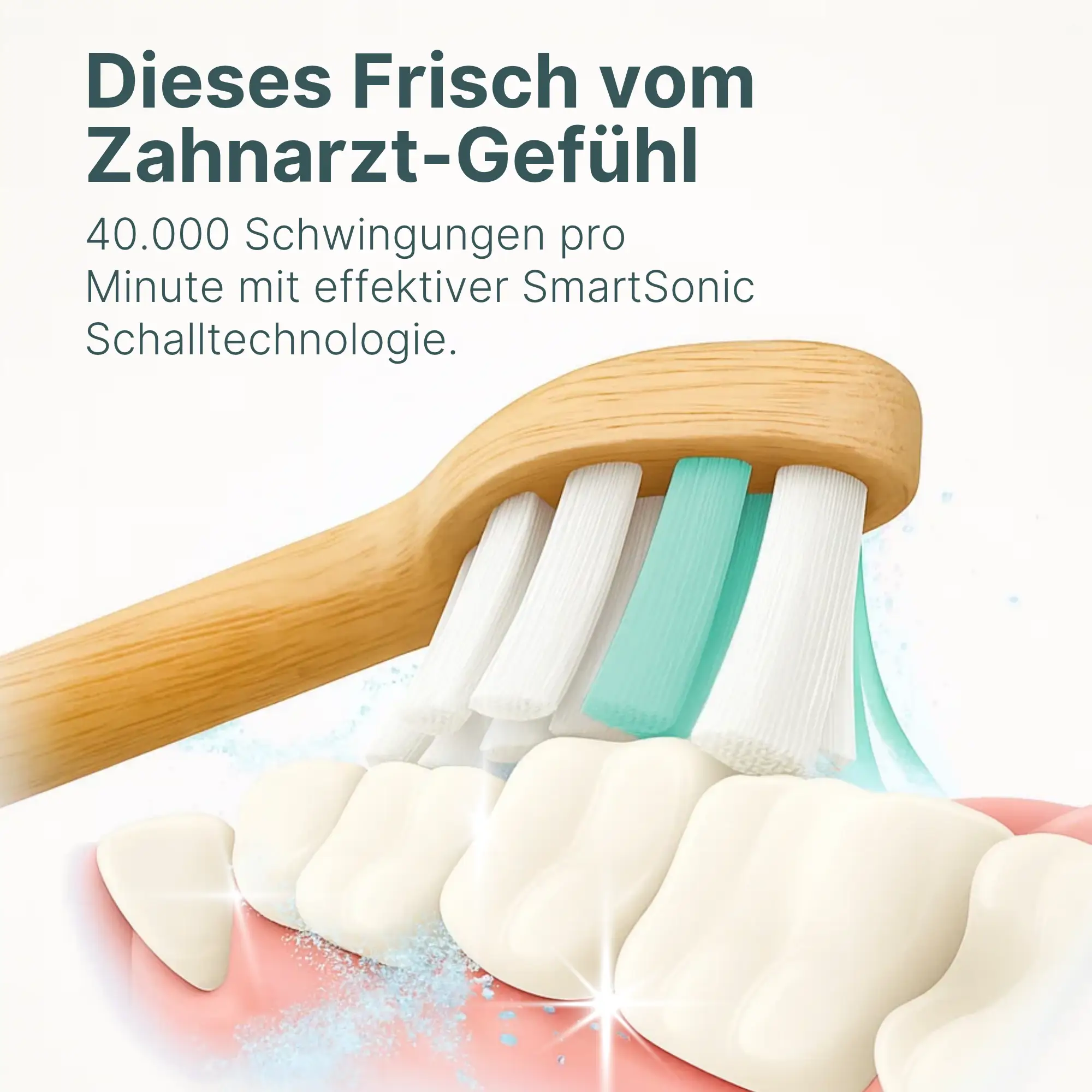 Schallzahnbürste & Munddusche - Complete Clean