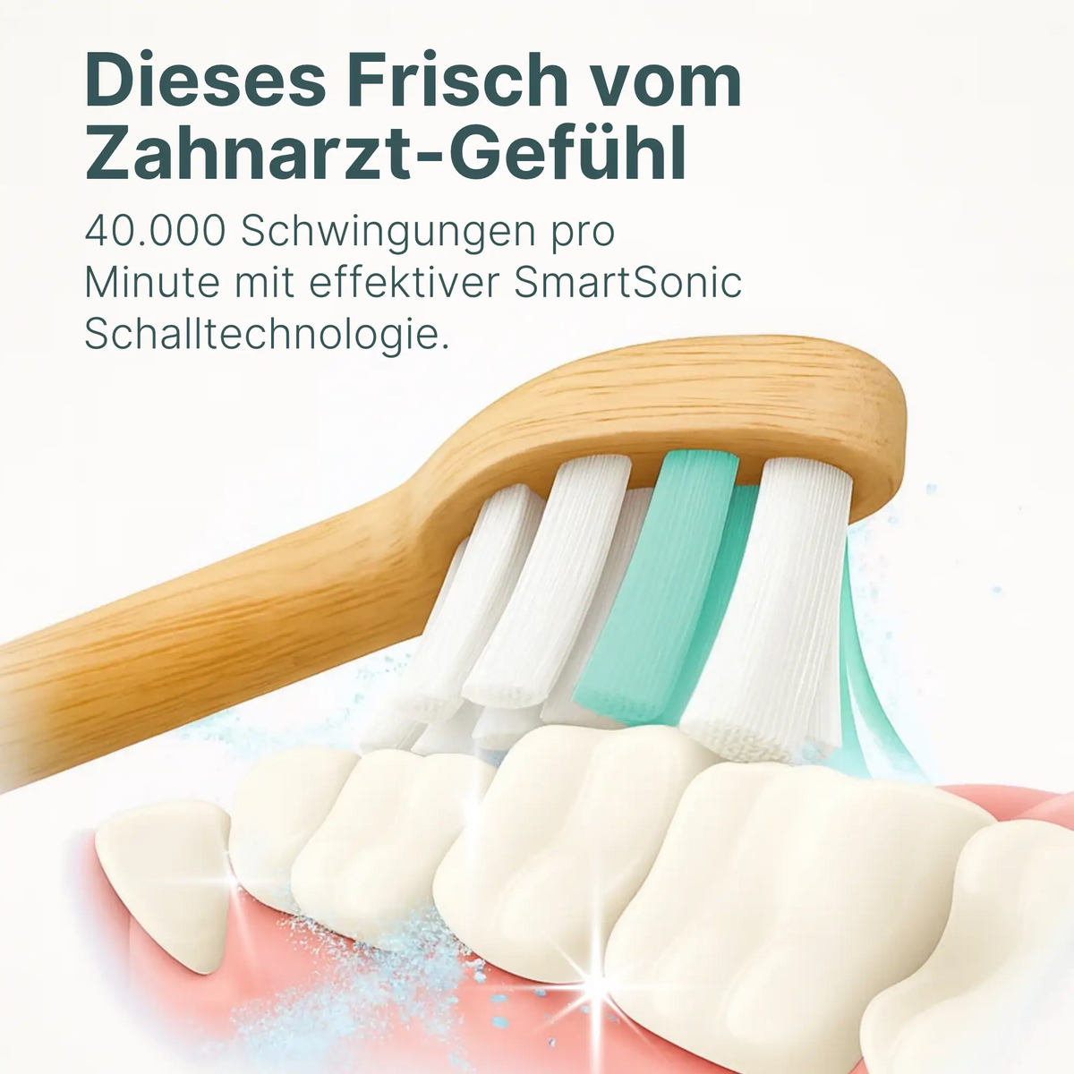 Schallzahnbürste &amp; Munddusche - Complete Clean